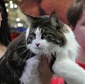 3-D_20140126 -183922 _IMG_9964a